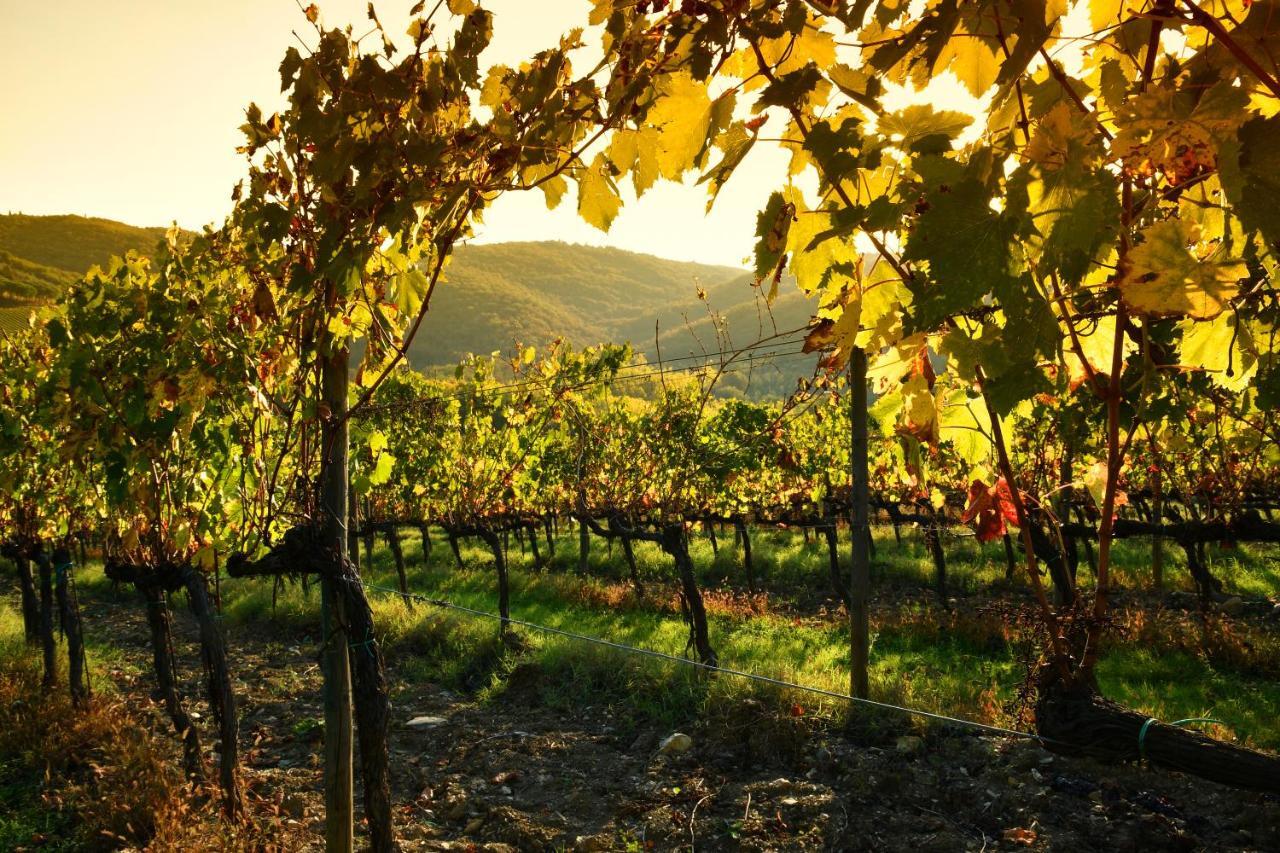 Stageroom03 - Chianti Castellina in Chianti Exterior foto